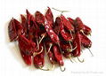 Dry Red Pepper