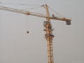 QTZ80 tower crane 1