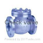 Check valve