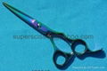 Titanium  Scissors 2