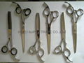 hair cutting shears