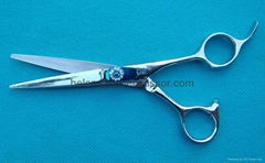 Professional Hair  Scissors