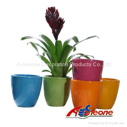 Terra cotta flower pot (sc-1007)