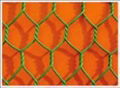 hexagonal wire mesh  1