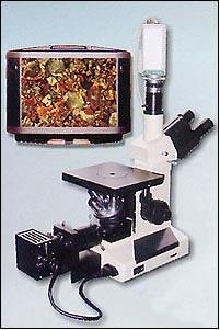 4XC-V 图像金相显微镜 4XC-V