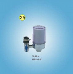 Dual stage water filter