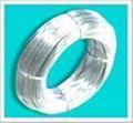 Electro Galvanized Wire  1