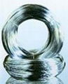 Electro Galvanized Wire  2