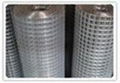 welded wire mesh 5