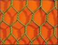 Hexagonal Wire Mesh  2