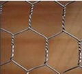 Hexagonal Wire Mesh  3