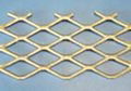 Expanded plate mesh 2