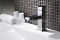 Washbasin Faucet 5