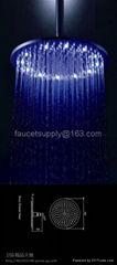 LED Shower