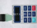 Membrane switch 4