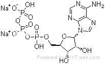 AdenosineDisodiumTriphosphate