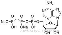 CytidineDisodiumTriphosphate