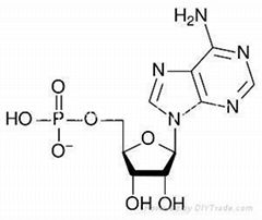 5-Adenosine Monophosphate