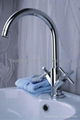 Bathroom Mixer/Faucet 1