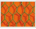 hexagonal wire mesh