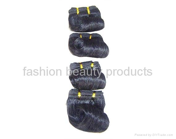 Afro-B Human hair weave 100pcs/lot 2