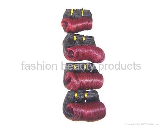 Afro-B Human hair weave 100pcs/lot 3