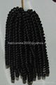 Braiding Hair-Spring Twist 1