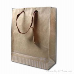 paper  bag 