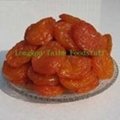 dried apricot 1