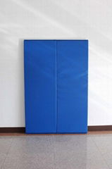 wall pad/mma mats