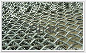 crimped wire mesh 