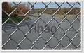 chain link fence