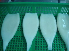 Frozen squid tube,ring,carving,breaed product