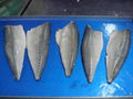 Frozen Mackerel,Spanish Mackerel fillet,block