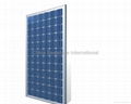 160w solar module