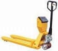 Hand Pallet Truck/Hand Pallet Jack 3