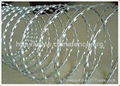 Razor Barbed Wire 1