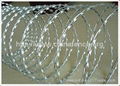 Razor Barbed Wire