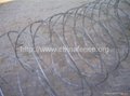 Razor Barbed Wire 2