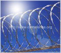 Razor Wire 3