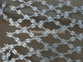 Razor Wire 4