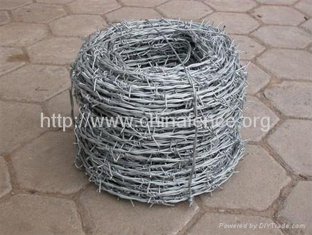 Barbed Wire