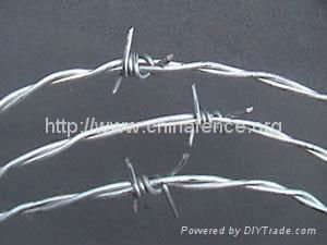 Barbed Wire 2