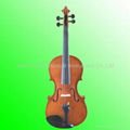 Violin 2