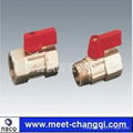 Brass Mini Ball Valve 1