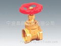 Brass Gate Valve 1