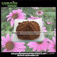 Echinacea Purpurea  Extract