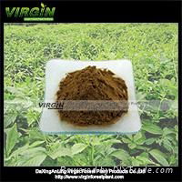 Gynostemma Pentaphylium  Extract