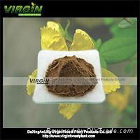 St.John's wort  extract