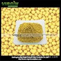 Soybean  extract